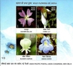 Miniature sheet of india of 2013,Wild Flowers Of India Asian Pacific Postal Union Congress , New Delhi.